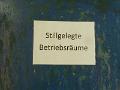 Bild (81)